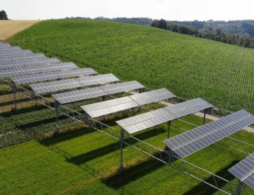 «Agri-Photovoltaik» im Hitzesommer
