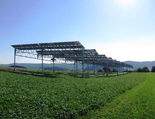Exkursion Agro-Photovoltaik-Projekt Heggelbach am Samstag, 1. Juni 2019