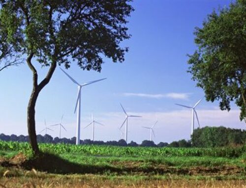Schweizer Investitionen in erneuerbare Energien im Ausland steigen stetig – über 80 % fliessen in Windenergie