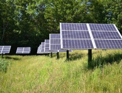 Solarparks: Bessere Auswirkung auf die biologische Vielfalt als intensive Monokultur-Landwirtschaft