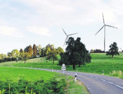 Schweiz: Hitzkirch spricht sich für Windenergie aus